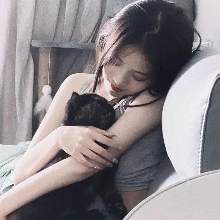 玩具熊的五夜后宫
